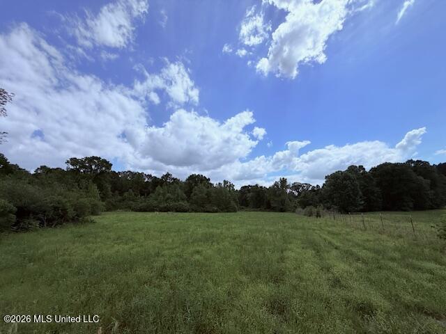 37 Fortenberry Road Tylertown, MS 39667 - Photo 62 of 83 IMG_3695 - Copy