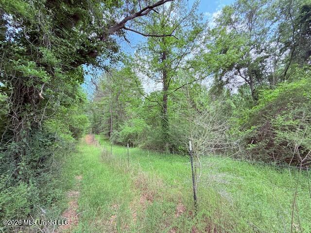 37 Fortenberry Road Tylertown, MS 39667 - Photo 63 of 83 IMG_3696 - Copy