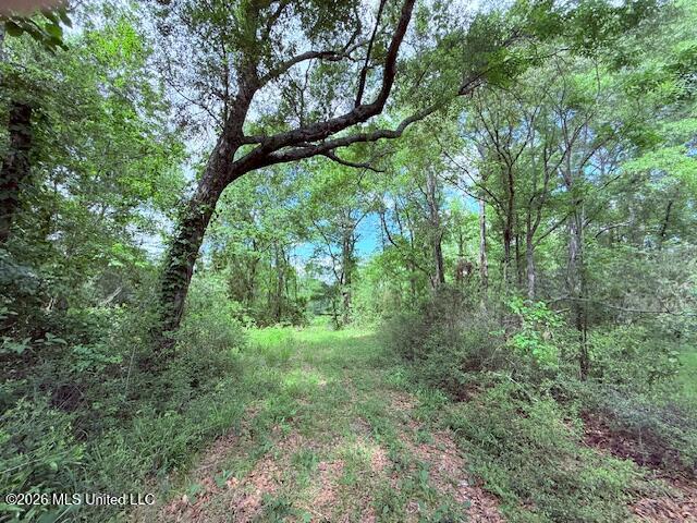 37 Fortenberry Road Tylertown, MS 39667 - Photo 64 of 83 IMG_3701 - Copy