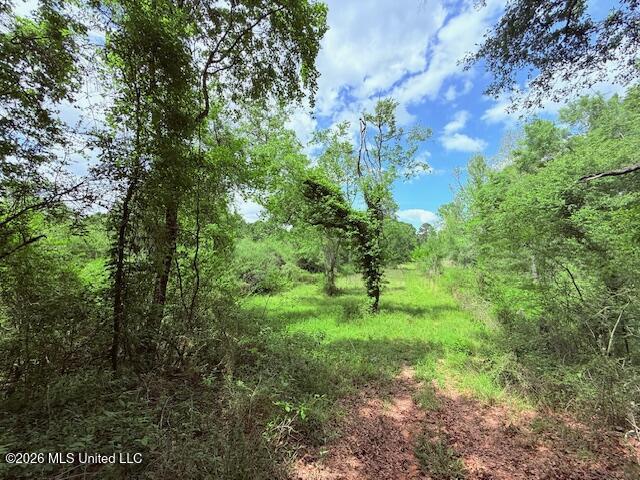 37 Fortenberry Road Tylertown, MS 39667 - Photo 65 of 83 IMG_3702 - Copy