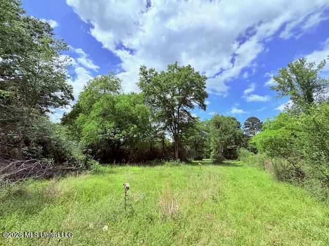 37 Fortenberry Road Tylertown, MS 39667 - Photo 66 of 83 IMG_3703