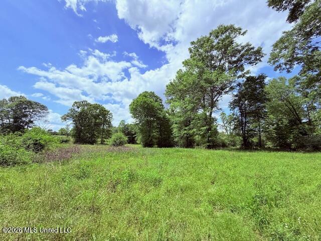 37 Fortenberry Road Tylertown, MS 39667 - Photo 68 of 83 IMG_3705