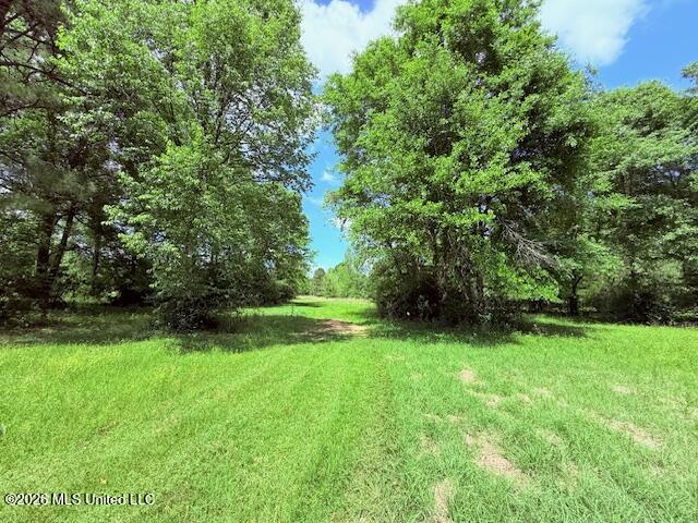 37 Fortenberry Road Tylertown, MS 39667 - Photo 69 of 83 IMG_3706