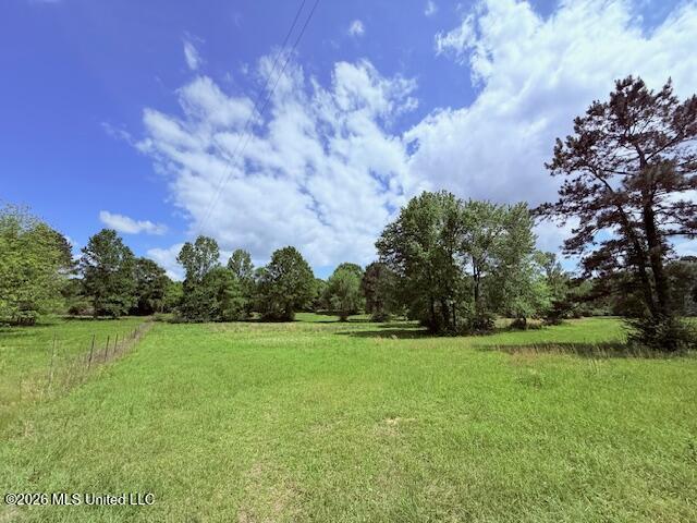 37 Fortenberry Road Tylertown, MS 39667 - Photo 72 of 83 IMG_3710