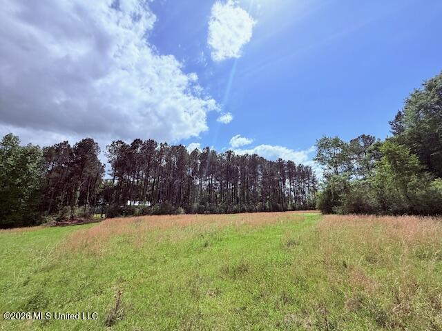 37 Fortenberry Road Tylertown, MS 39667 - Photo 75 of 83 IMG_3714