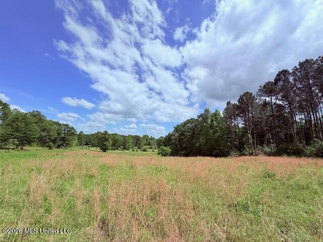 37 Fortenberry Road Tylertown, MS 39667 - Photo 76 of 83 IMG_3715