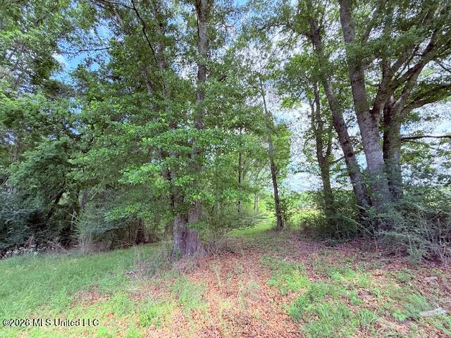 37 Fortenberry Road Tylertown, MS 39667 - Photo 79 of 83 IMG_3718