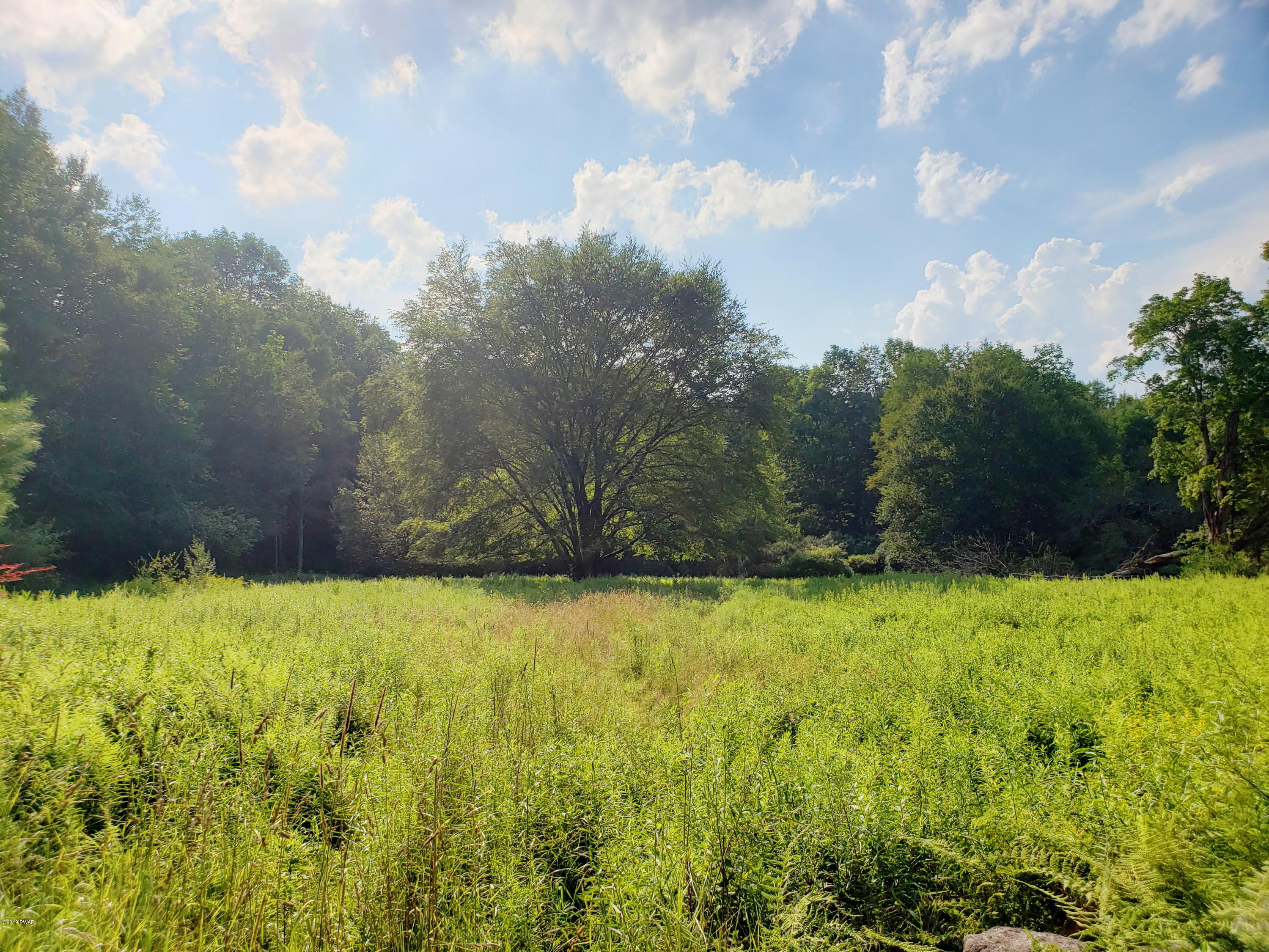 Burr Road Cochecton, NY 12726 - Photo 4 of 6