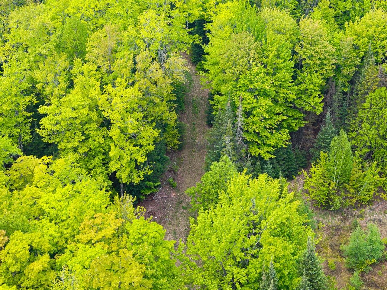 8677 North Davis Road Mercer, WI 54547 - Photo 43 of 51 Gallery Image 43
