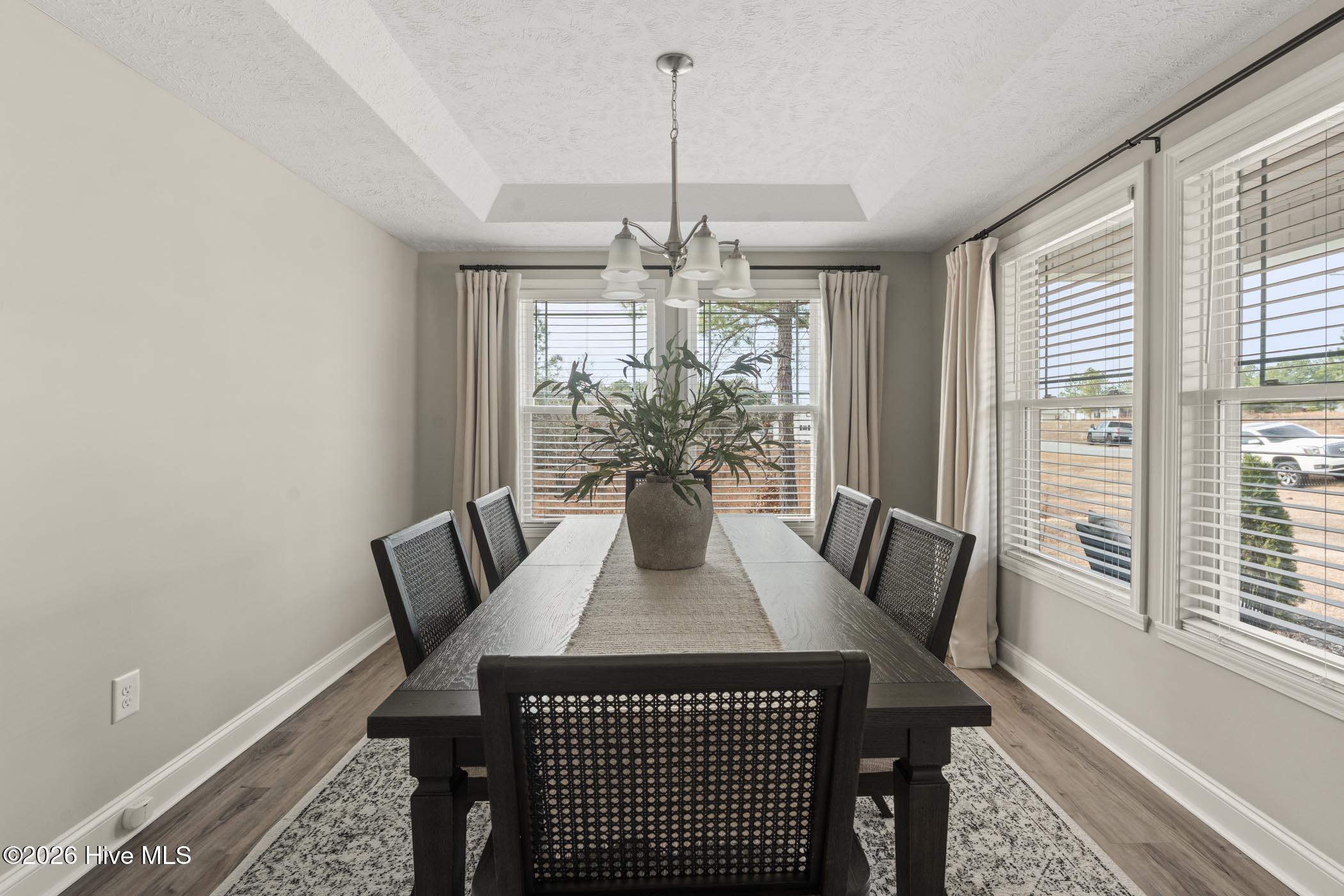 197 Adelia Drive Rockingham, NC 28379 - Photo 4 of 27 A7409871