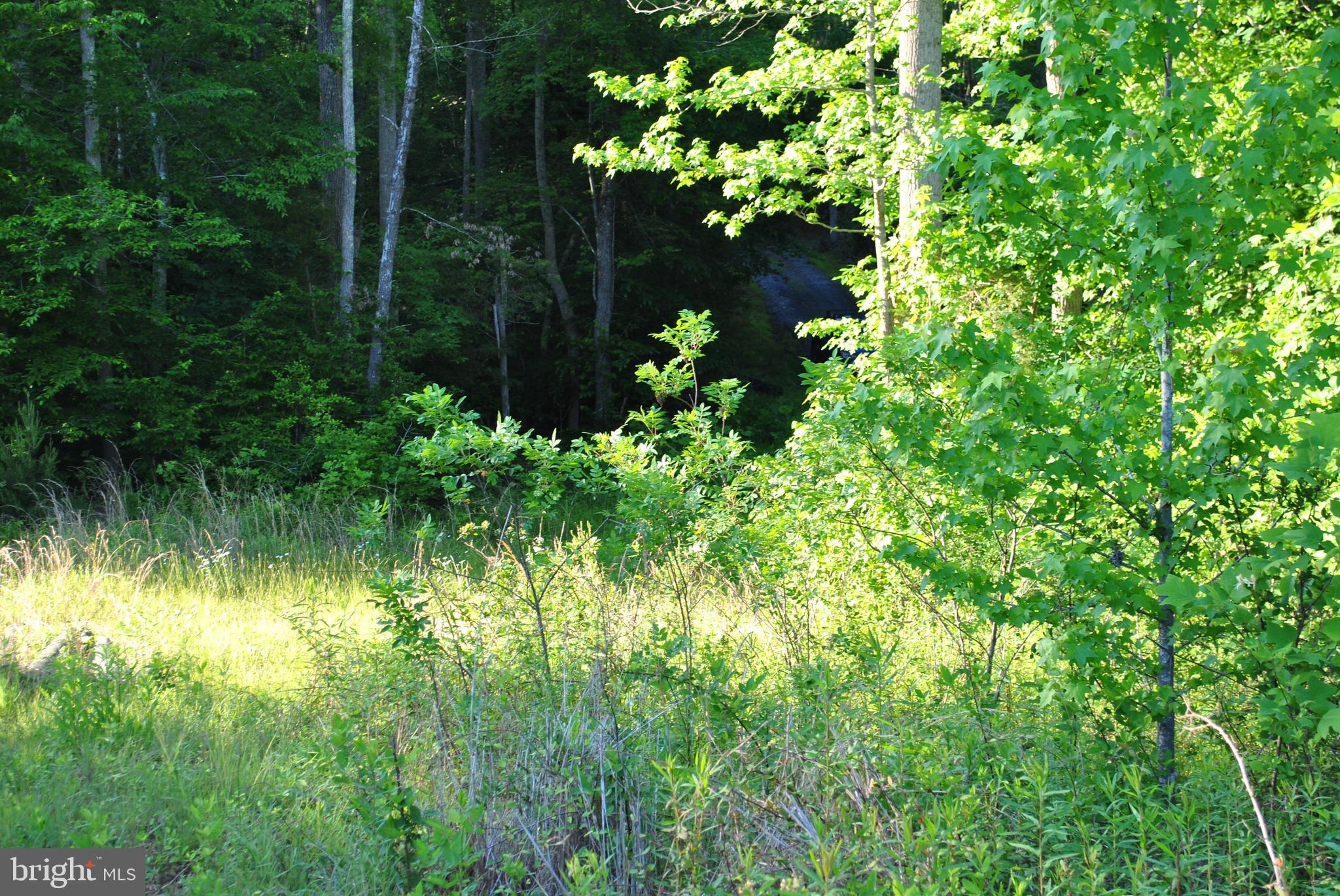 Willow Brook Road Bumpass, VA 23024 - Photo 4 of 16 Gallery Image 4
