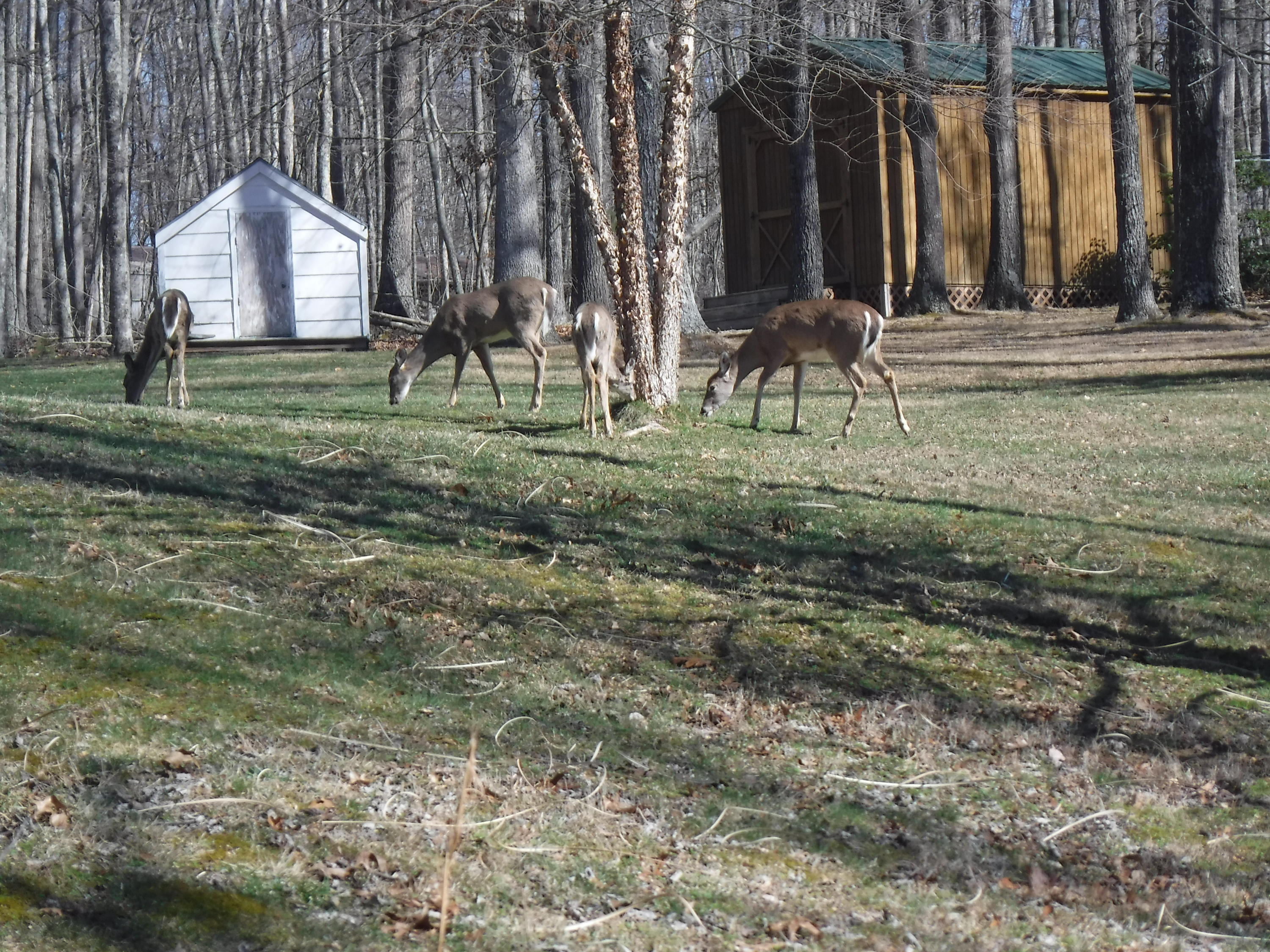 550 Anderson Estates Road Lewisburg, WV 24901 - Photo 41 of 47 Gallery Image 41