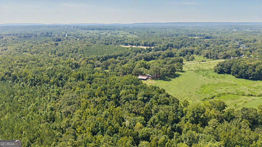 3545 Temple Dukes Road Woodbury, GA 30293 - Photo 57 of 57 Gallery Image 57