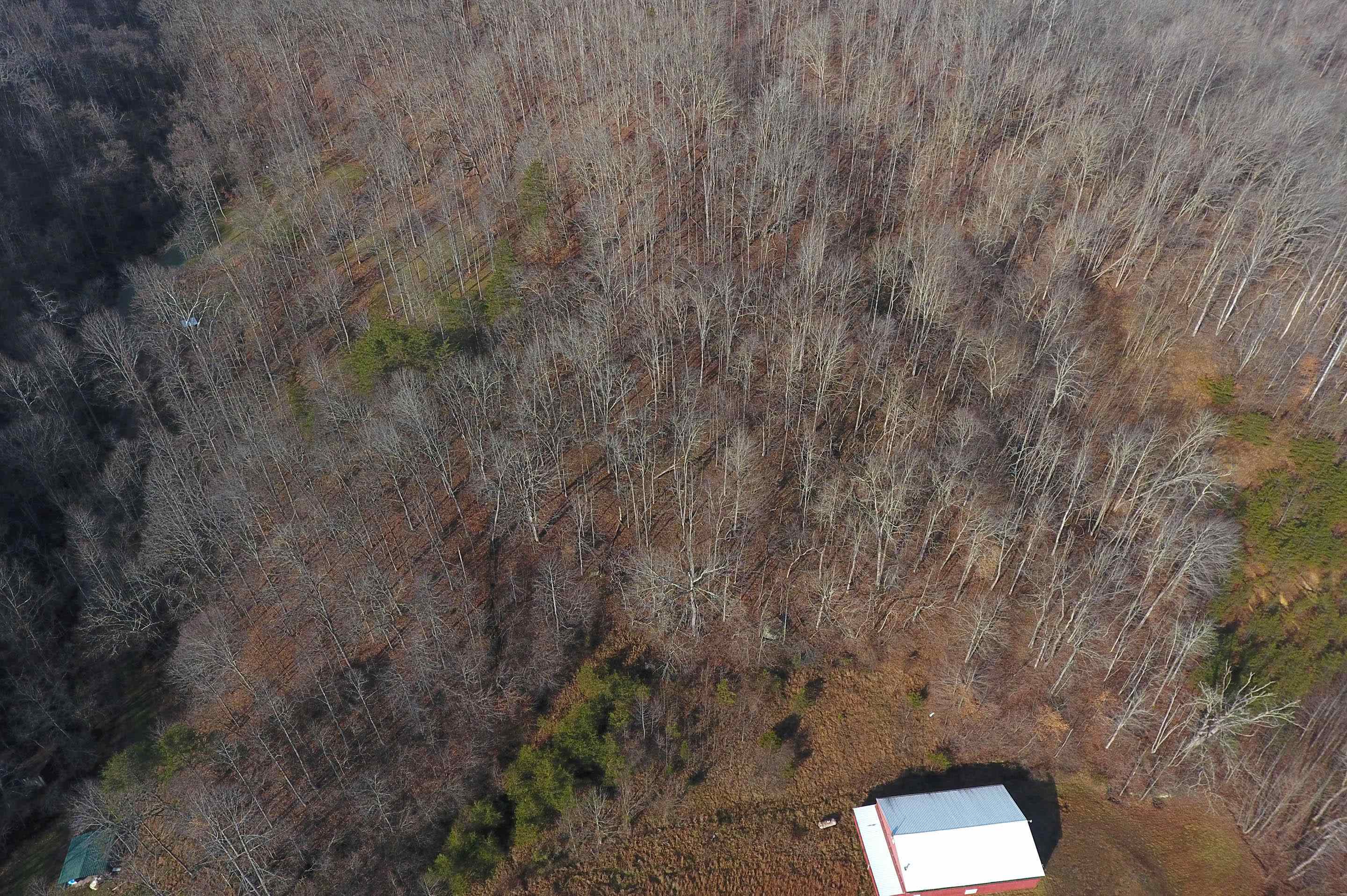 7274 Hamlin Road Hamlin, WV 25523 - Photo 11 of 28 Gallery Image 11