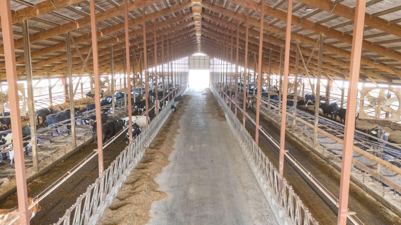 8223 Middle Road Oostburg, WI 53070 - Photo 35 of 74 DJI_20260330140544_0748_D