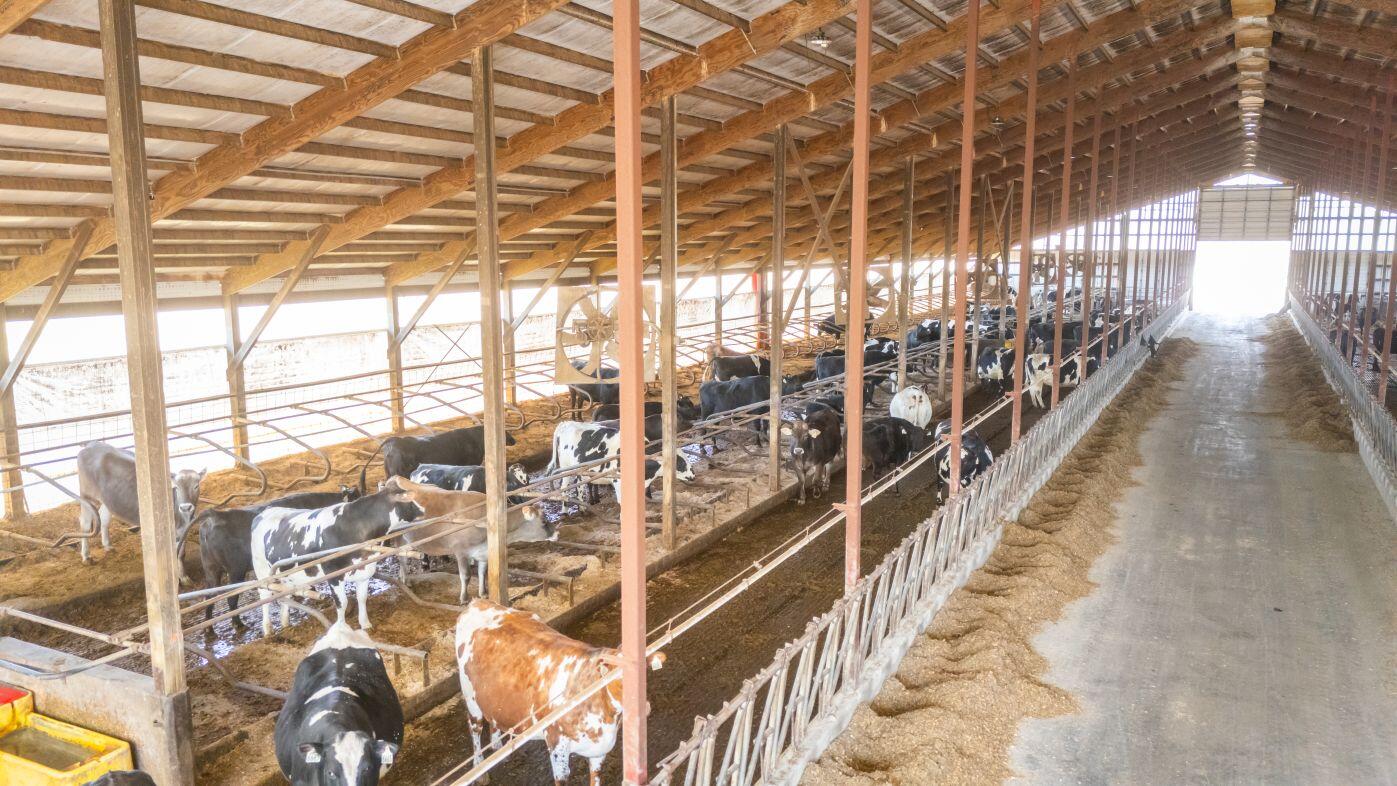 8223 Middle Road Oostburg, WI 53070 - Photo 36 of 74 DJI_20260330140548_0749_D