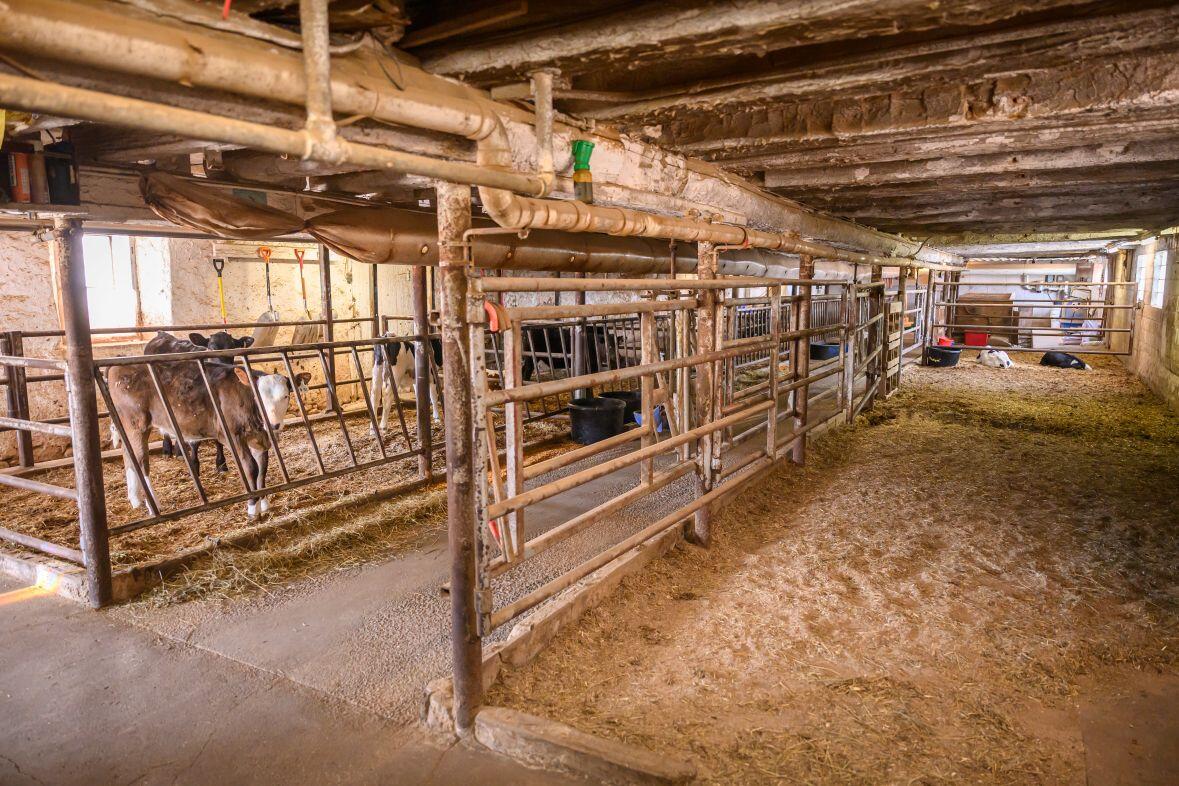 8223 Middle Road Oostburg, WI 53070 - Photo 40 of 74 DSC_4123