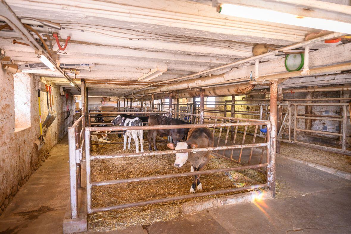 8223 Middle Road Oostburg, WI 53070 - Photo 45 of 74 DSC_4145