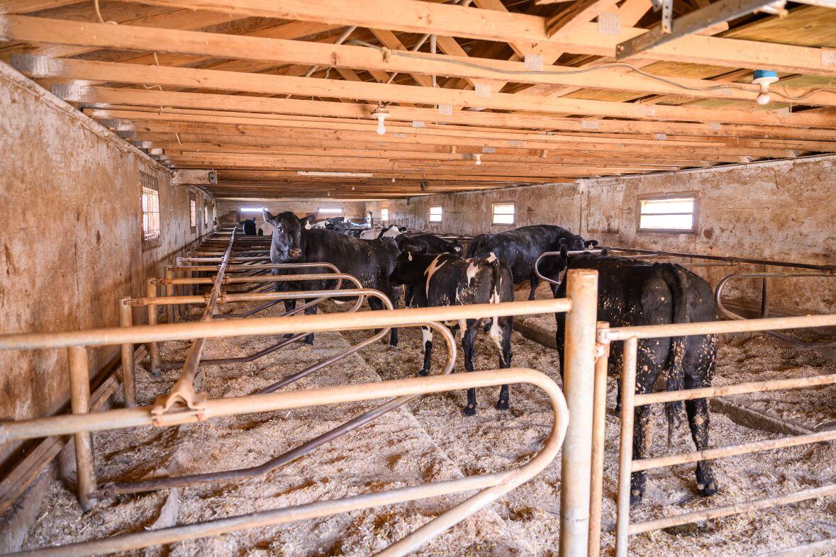 8223 Middle Road Oostburg, WI 53070 - Photo 48 of 74 DSC_4172