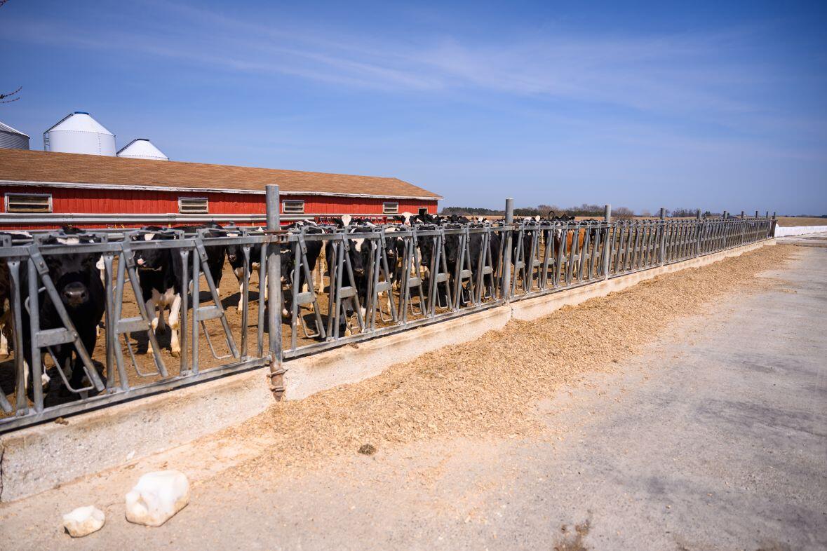 8223 Middle Road Oostburg, WI 53070 - Photo 49 of 74 DSC_4176