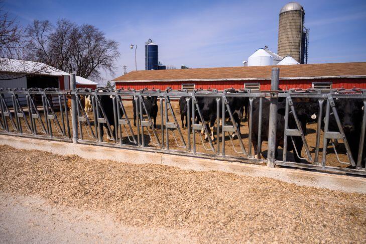 8223 Middle Road Oostburg, WI 53070 - Photo 50 of 74 DSC_4186