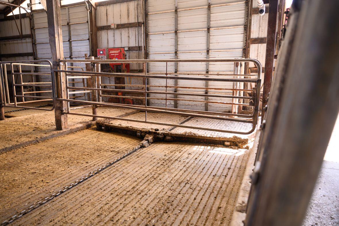 8223 Middle Road Oostburg, WI 53070 - Photo 51 of 74 DSC_4190