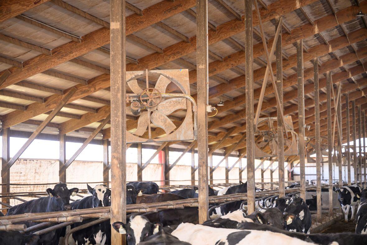 8223 Middle Road Oostburg, WI 53070 - Photo 52 of 74 DSC_4199