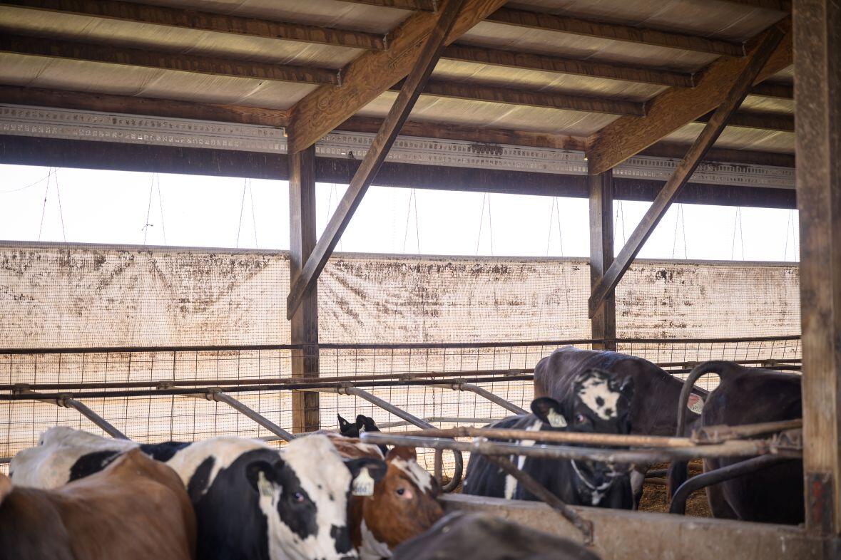 8223 Middle Road Oostburg, WI 53070 - Photo 53 of 74 DSC_4203