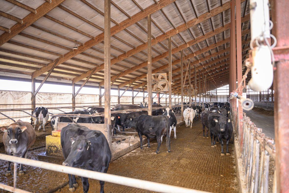 8223 Middle Road Oostburg, WI 53070 - Photo 54 of 74 DSC_4209