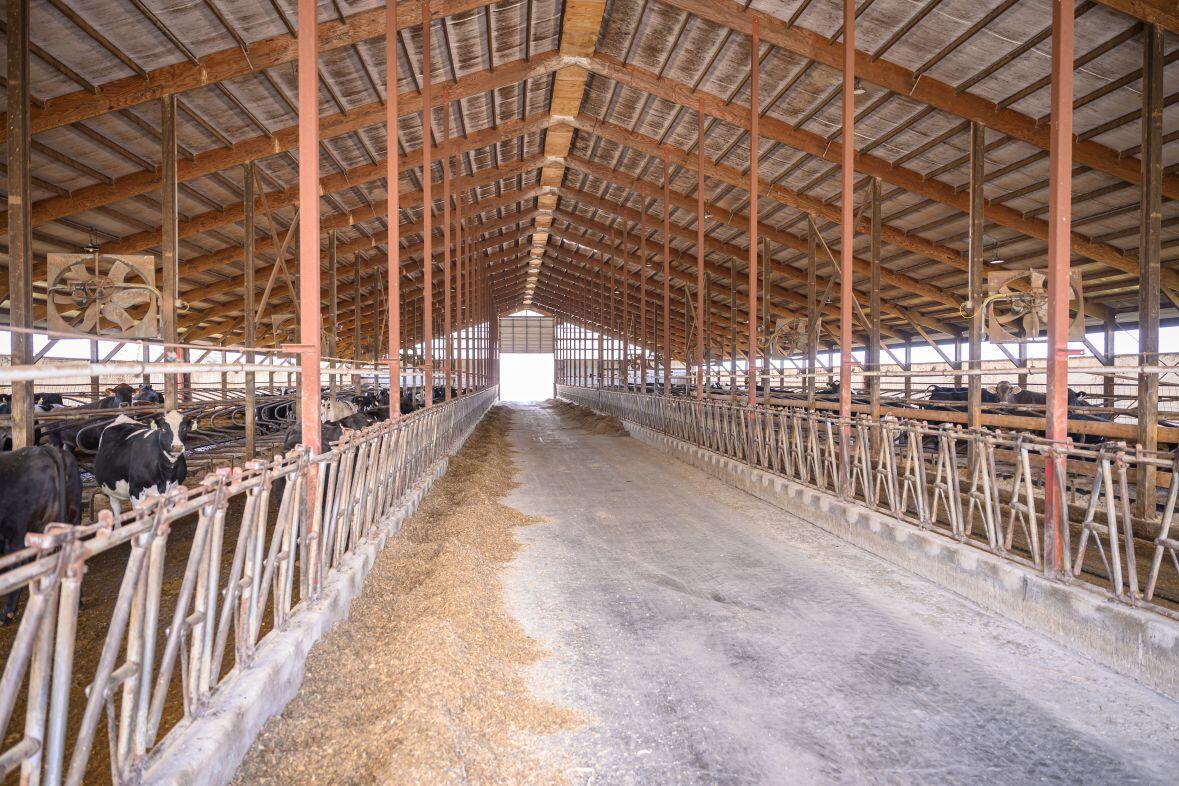 8223 Middle Road Oostburg, WI 53070 - Photo 55 of 74 DSC_4213