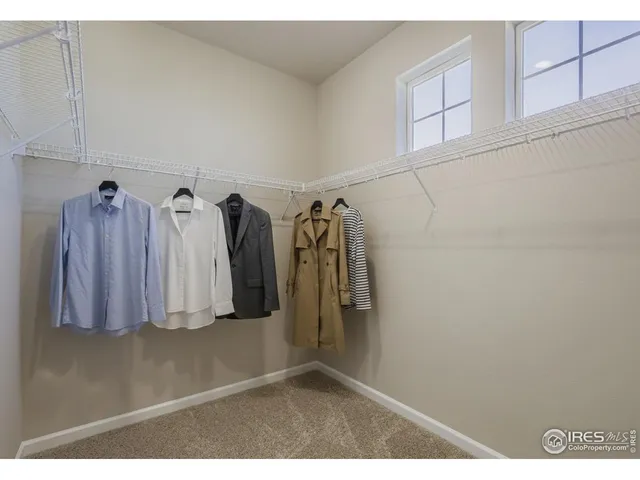 a bedroom with a large bed and a potted plant