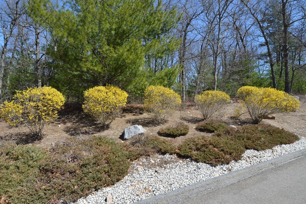 3 Oak View Terrace, Unit 3 Franklin, MA 02038 - Photo 36 of 40