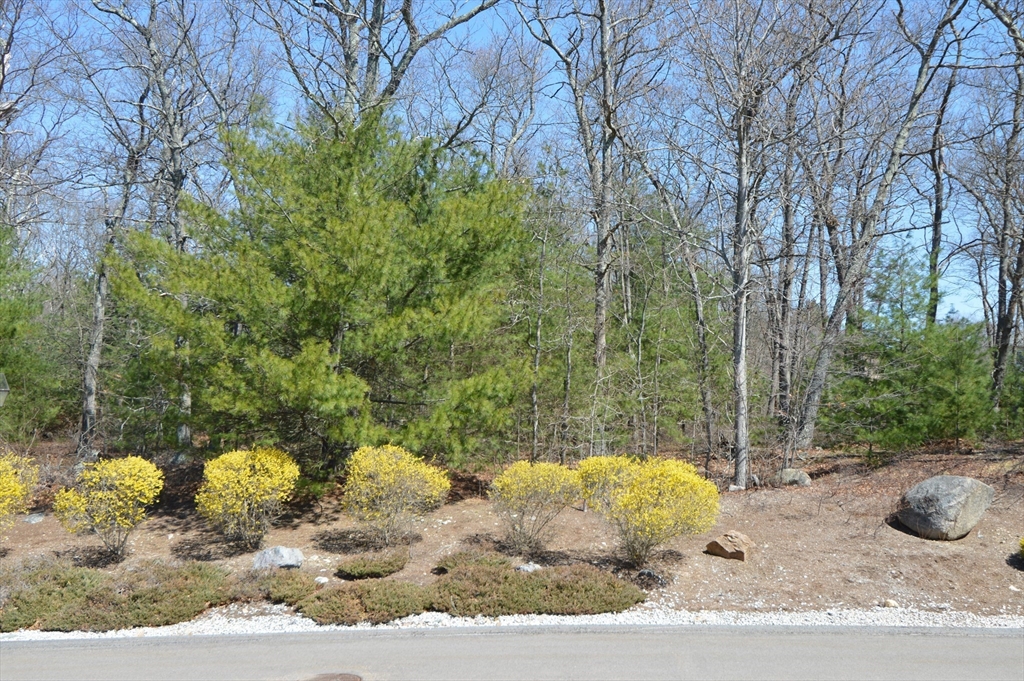 3 Oak View Terrace, Unit 3 Franklin, MA 02038 - Photo 38 of 41