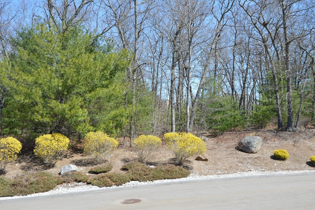 3 Oak View Terrace, Unit 3 Franklin, MA 02038 - Photo 38 of 40