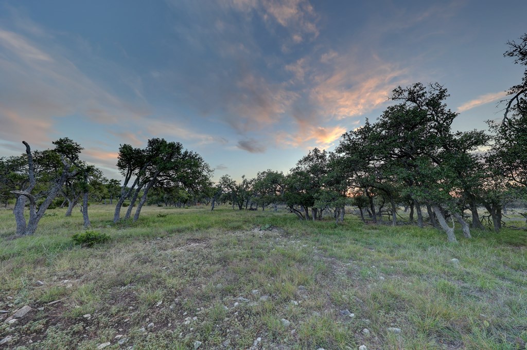 0 Stevens Ranch Road Harper, TX 78631 - Photo 11 of 31 a view of outdoor space with trees all around