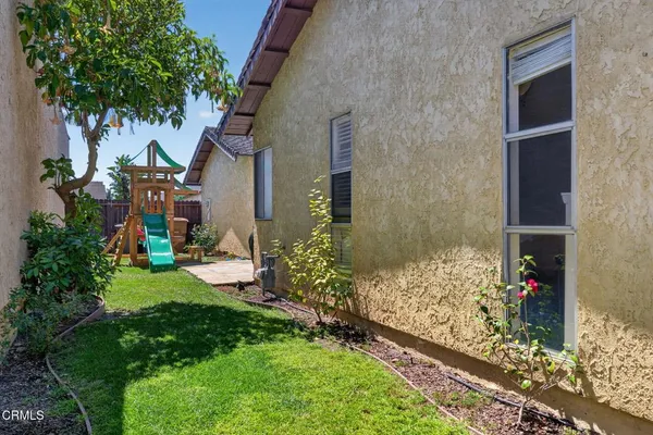 a plant that is in front of a house