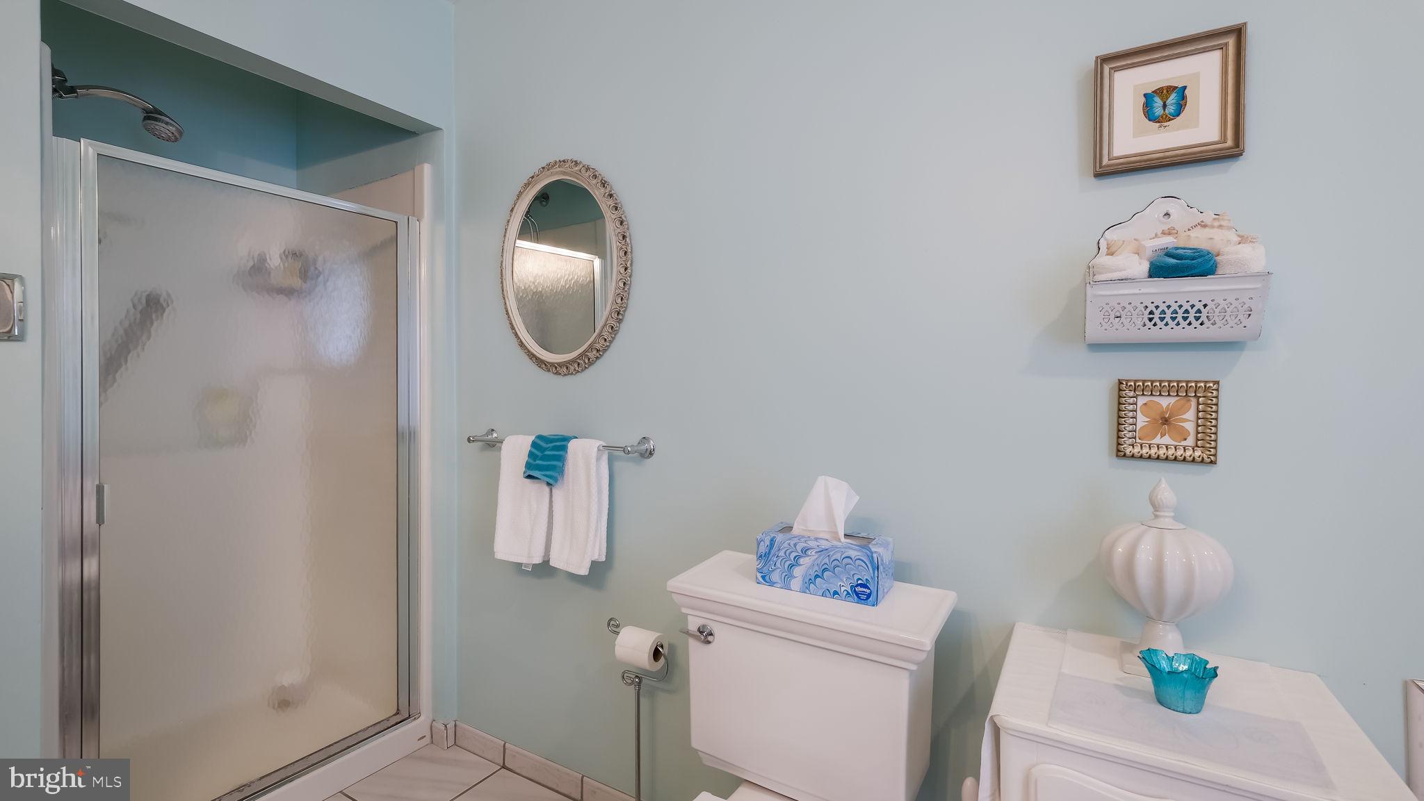 235 Painter Road Media, PA 19063 - Photo 33 of 59 1st primary full bath