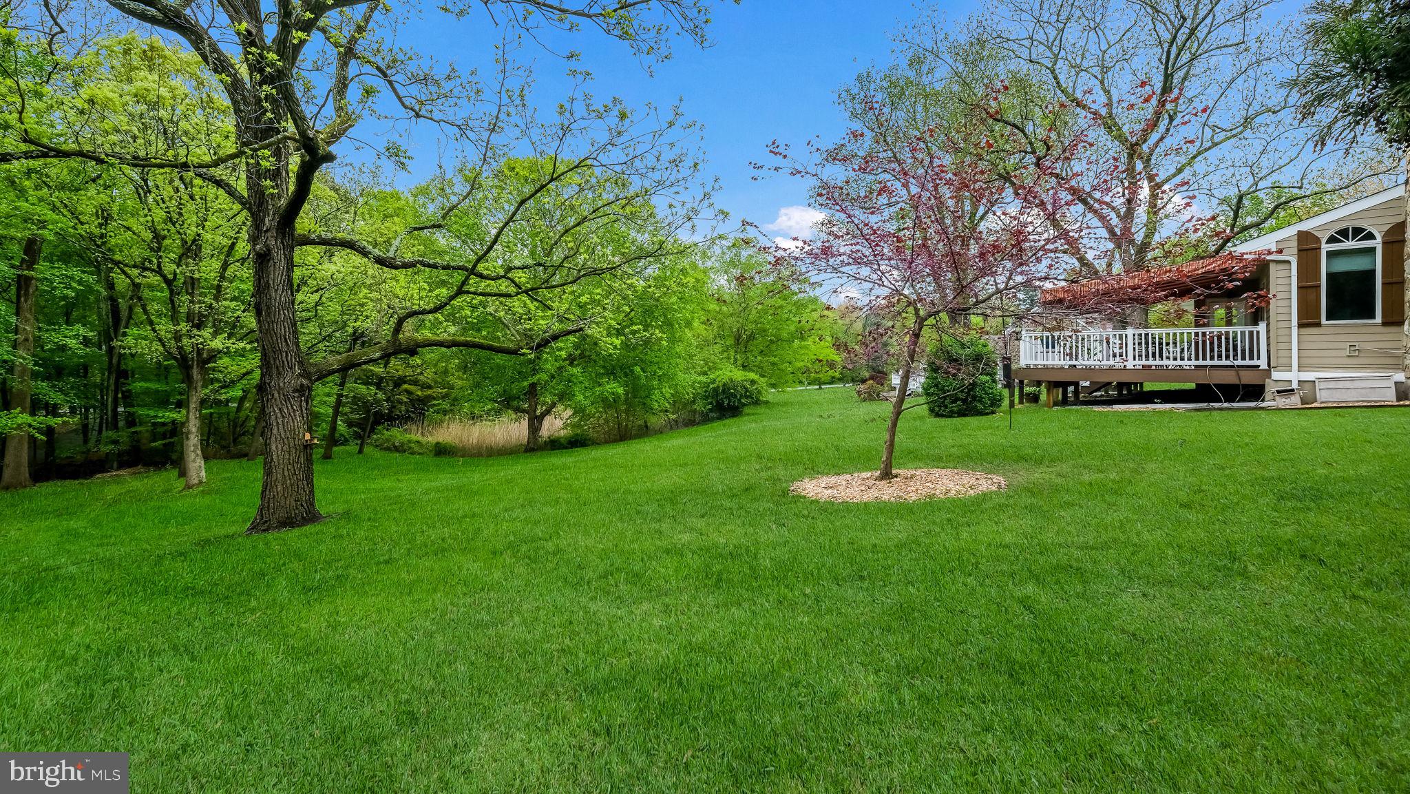 235 Painter Road Media, PA 19063 - Photo 47 of 59 Gorgeous lawn area
