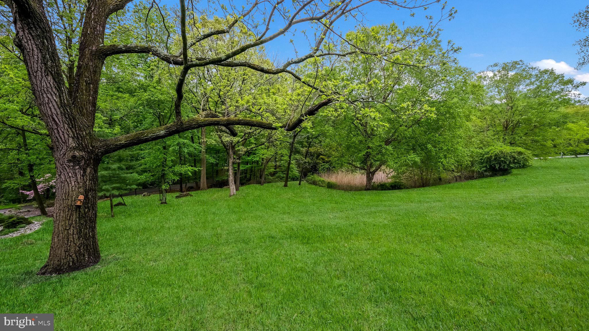 235 Painter Road Media, PA 19063 - Photo 59 of 59 Rear yard