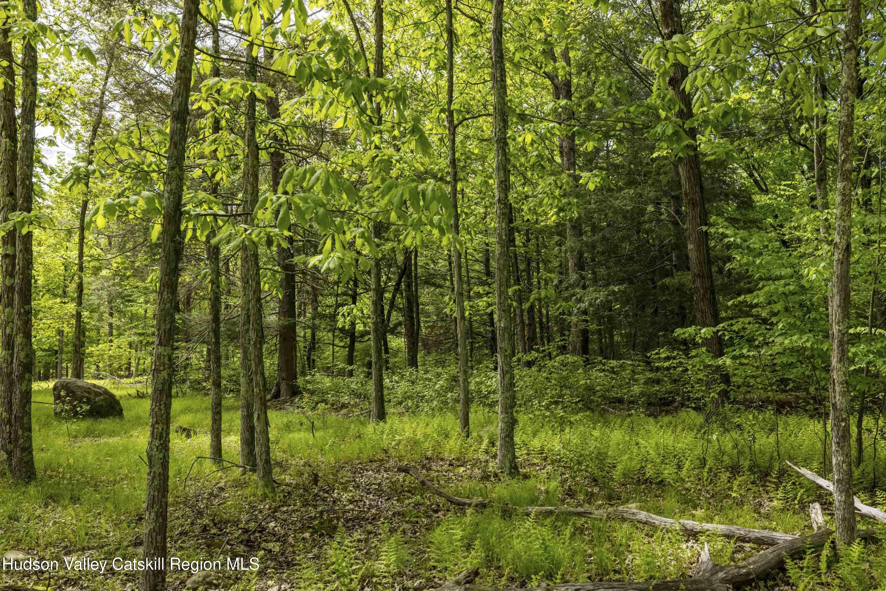 8 Forest Camp Road Grahamsville, NY 12740 - Photo 11 of 19 a view of a garden