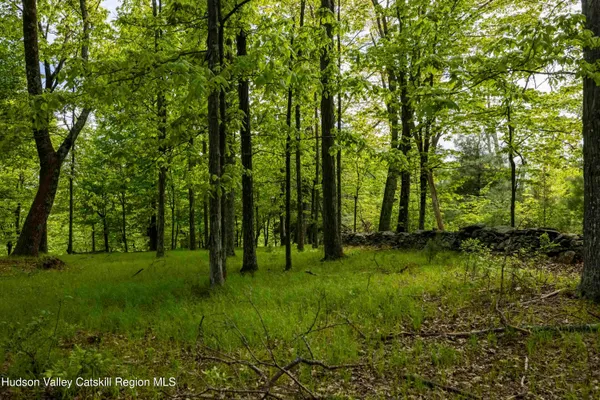 a picture of a field