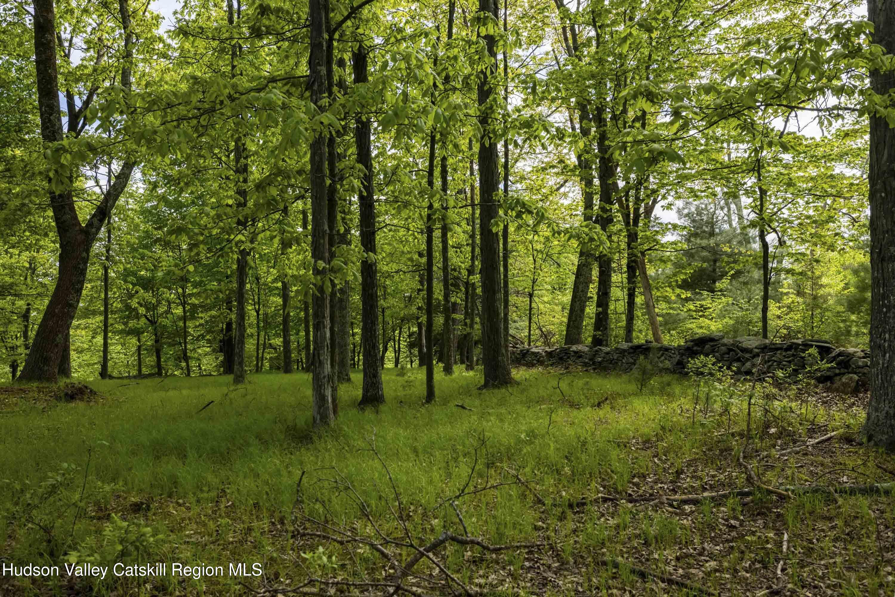 8 Forest Camp Road Grahamsville, NY 12740 - Photo 14 of 19 a view of grassy field with trees
