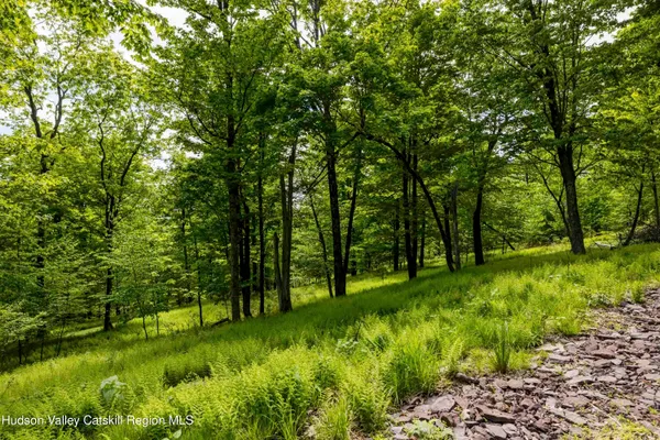 a view of a trees with a yard