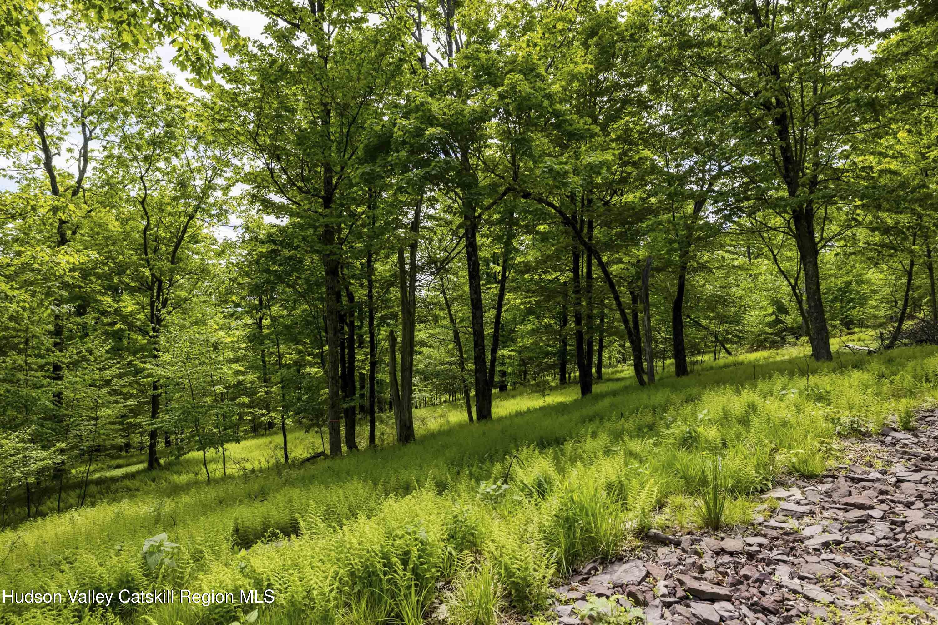 8 Forest Camp Road Grahamsville, NY 12740 - Photo 8 of 19 a view of a lush green space