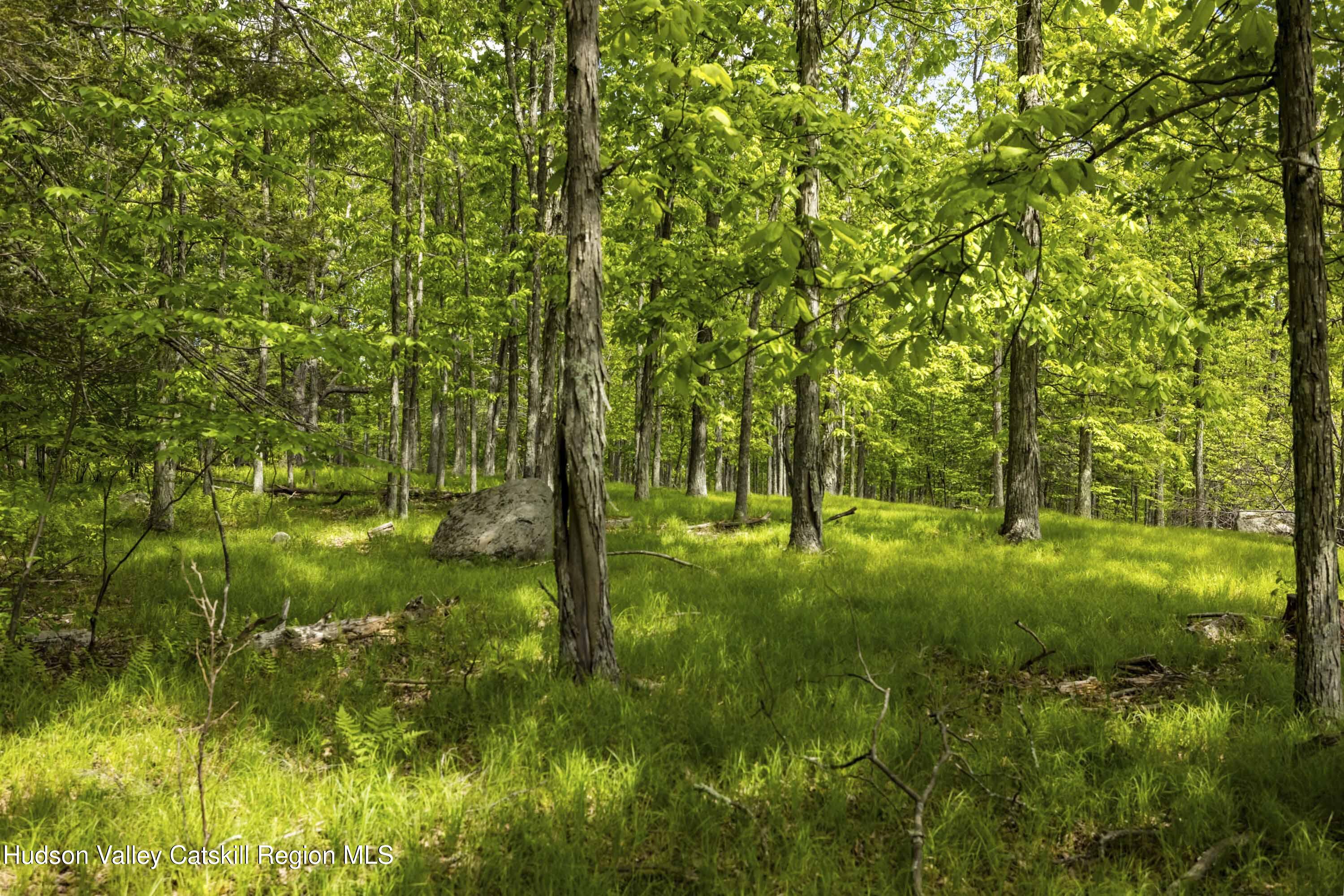 8 Forest Camp Road Grahamsville, NY 12740 - Photo 10 of 19 a view of outdoor space and yard