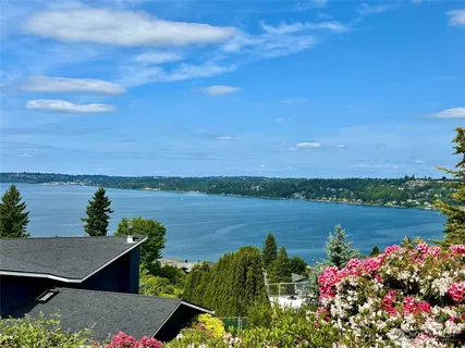 a view of a lake with a garden