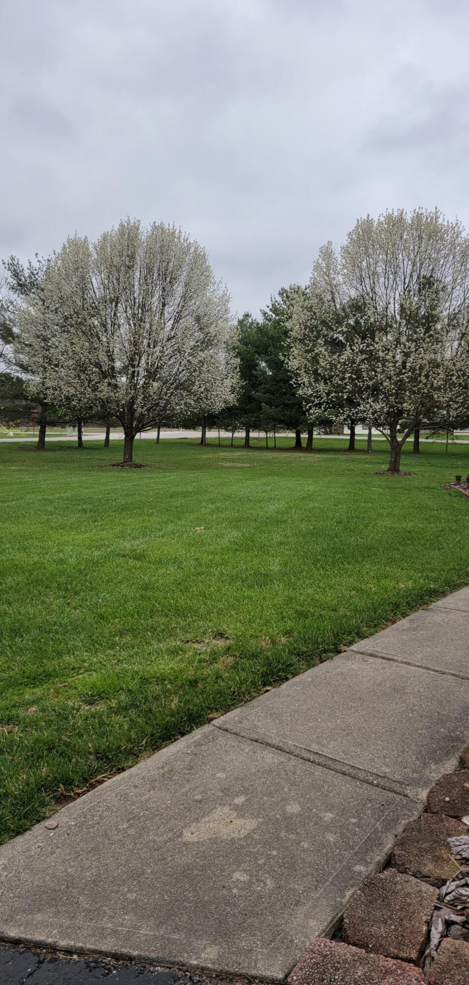 2230 Delano Road Chillicothe, OH 45601 - Photo 11 of 11 Snapchat-117553796