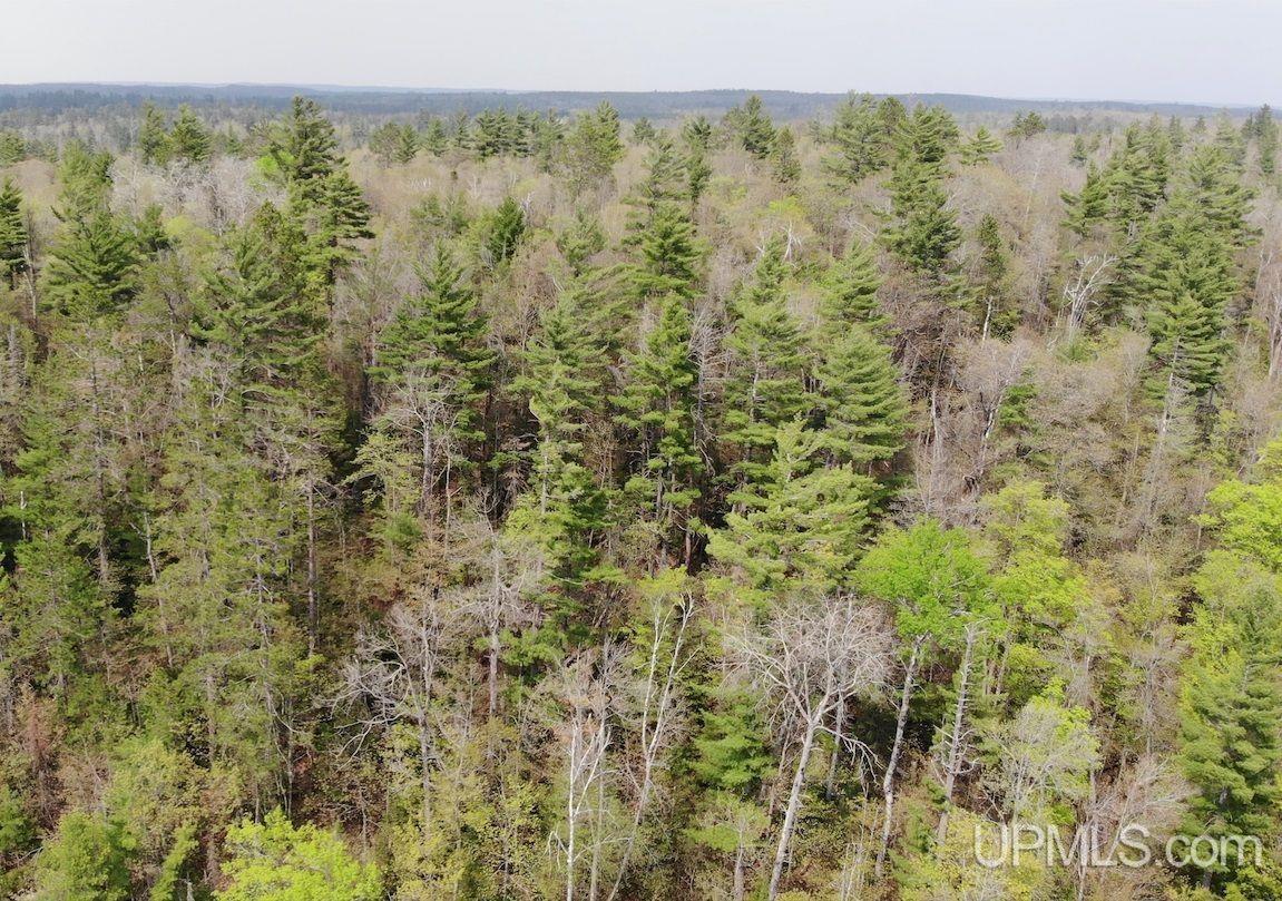 Tbd 100-ac Tbd 100-ac Co Road Ishpeming, MI 49849 - Photo 5 of 28