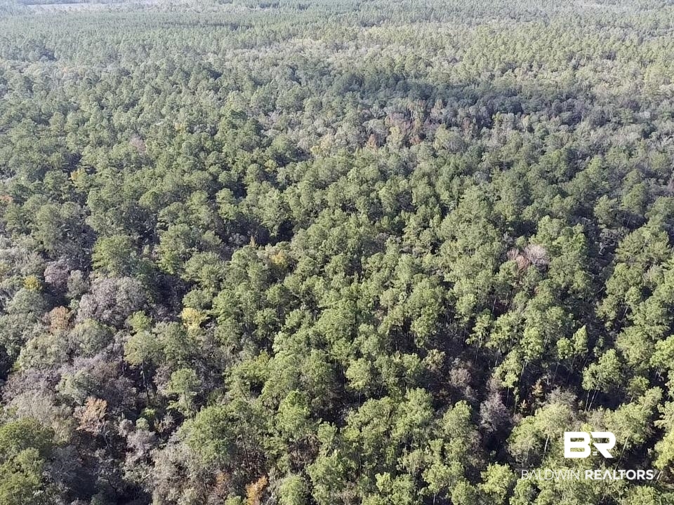0 Country Road Vinegar Bend, AL 36584 - Photo 44 of 46