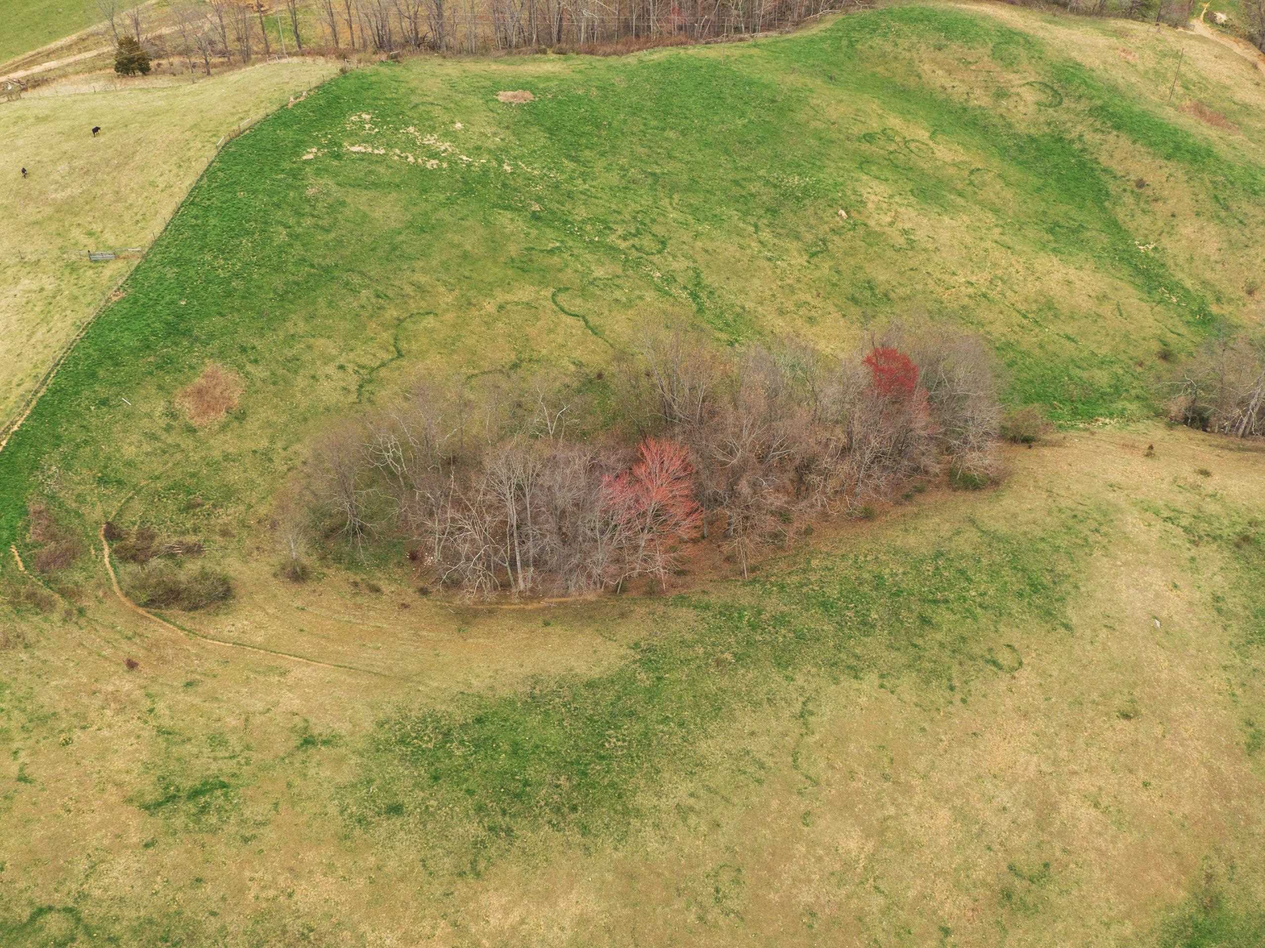 497 Horse Ridge Road Northwest Willis, VA 24380 - Photo 39 of 64 Gallery Image 39